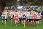 Senior Mens relay, 2025 Northern Cross Country Relays, Graves Park, Sheffield. Photo: David T. Hewitson/Sports for All Pics